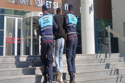 Mudanya’da 1,2 Milyon TL’lik Tiny House Çalındı, Şüpheli Tutuklandı