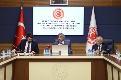 TBMM’de Kamu Denetçisi Adayları Belirlendi