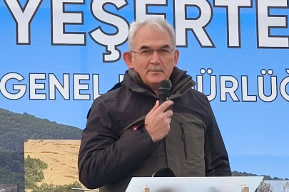 Harmancık’ta yanan orman alanları hızla yeniden yeşeriyor