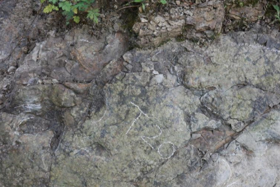 Çin'de 200 milyon yıllık dinozor izleri bulundu