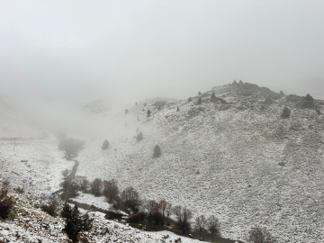 Tunceli’nin yüksek kesimleri beyaza büründü