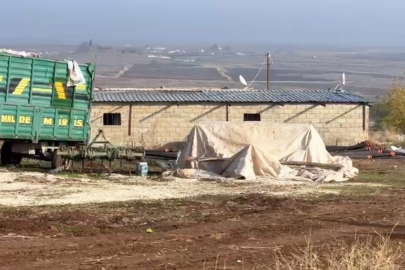 1000 çeyrek altınlık kaçak elektrik: Dev kripto para tesisi çökertildi!