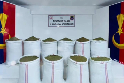 Gençlerin hayatını çalanlara geçit yok: 110 zehir taciri tutuklandı!