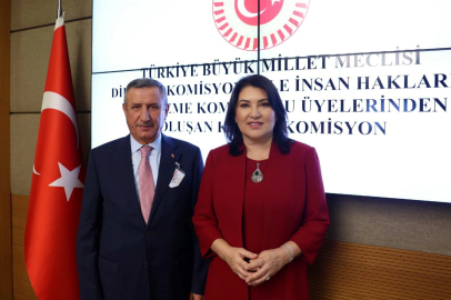 Meclis'te kamu denetçisi seçimi yapıldı