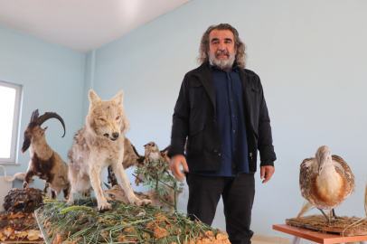 Dikkat: Vaşak kuduz çıktı, dokunmak ölüme götürebilir!