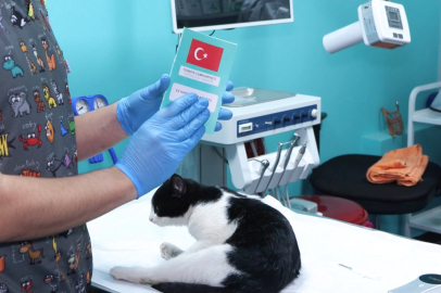 Evcil hayvanlara çip taktırmak için son gün 31 Aralık