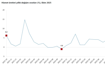 TÜİK: Hizmet üretim endeksi ekimde yıllık yüzde 3,4 arttı