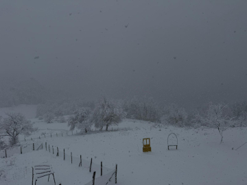 Samsun'un yüksek kesimlerinde kar etkili oldu