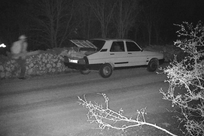 OGM’den Kaçak Kesimlere Karşı 7/24 Koruma 