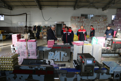 Erzincan tarımı kabuk değiştiriyor: El değmeden tasnif, modern üretim