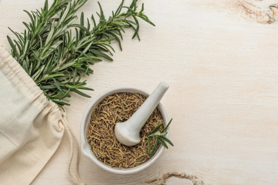 Zahter Nedir? Faydalarıyla Şifa Deposu Bitki