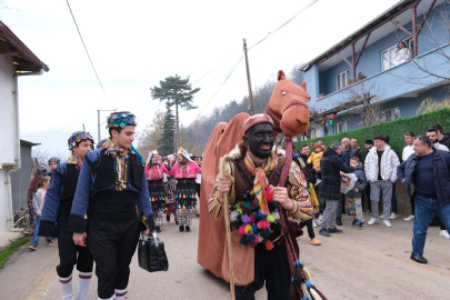 Asırlık gelenek canlandı: İnegöl'de deve oyunu!