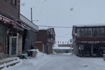 Ordu'nun yüksek kesimlerinde kar yağışı