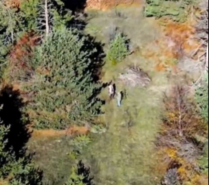 Dron ve fotokapan destekli doğa koruma denetimi; 4 kişiye işlem yapıldı