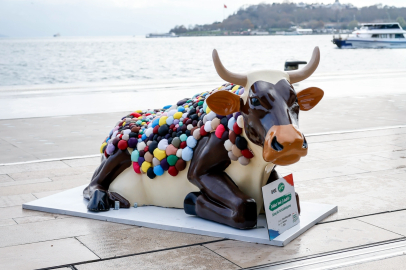 Sütaş’ın İnekleri Şehirlere Sanat Taşıyor