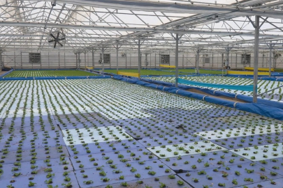 Türkiye’de bir ilk: Çiçekmatikler geliyor!