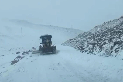 850 metre rakımlı Iğdır Tuzluca'da kar yağışı etkili oluyor