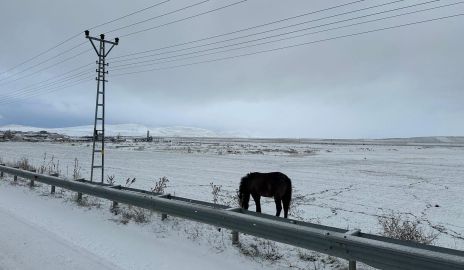 Ağrı'da kar yağışı