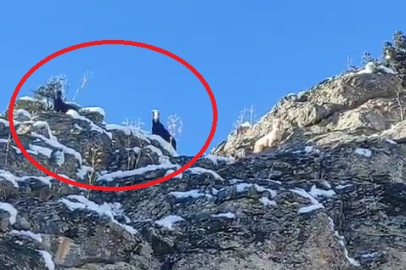 Ulaşımın imkansız olduğu yerde 18 can bekliyor