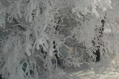 Adana’da Rekor Soğuk: Termometreler Eksi 28’i Gördü