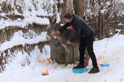 Bu Haberi Okuyunca İçiniz Isınacak: 55 Yaşındaki Önder Amca Eşeklere Neden Şarkı Söylüyor?