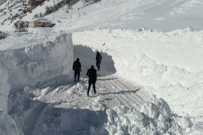 Van’da Çığ Alarmı: İlçede Hayat Durma Noktasında