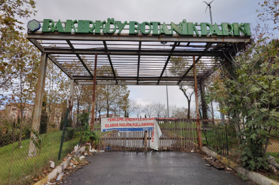 Bir Zamanlar Nefes Alanıydı: “Yenileme” Denilen Parkta Sessizlik ve İddialar