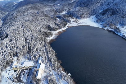 Abant, Gölcük ve Yedigöller Doldu Taştı: İşte Bolu'nun 2025 Turizm Karnesi