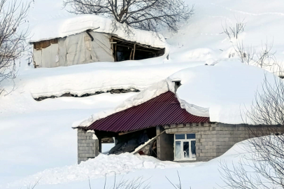 Çığ Felaketi Mezrayı Vurdu: Hayvanlar Telef Oldu, Evler Hasar Gördü