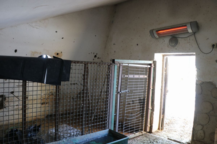 Kayseri Hayvanat Bahçesi’nde Kış Alarmı: 1200 Hayvan İçin Özel Menü Ve Yerden Isıtma Devrede