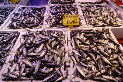 Tezgâhlarda Sessizlik Başladı: Soğuk Hava Balık Çeşidini Vurdu