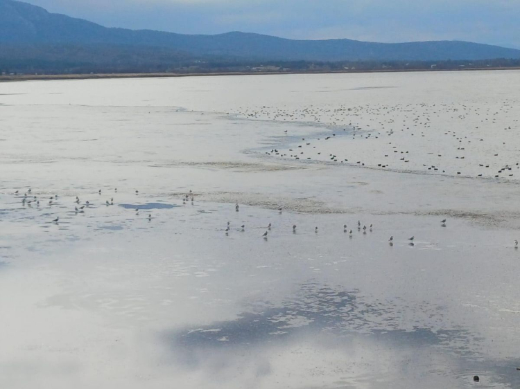 Konya’da Eksi 15 Derece Etkisi: 