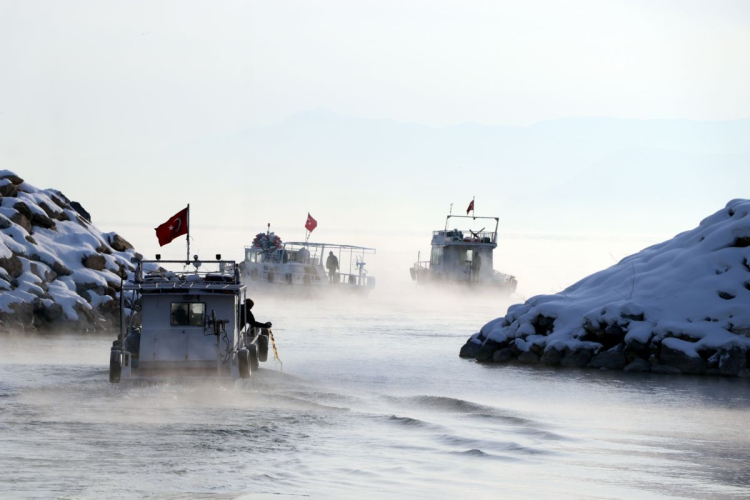 Ekmek Aslanın Ağzında Değil, Buzun Altında: Vanlı Balıkçının Çileli Geçim Savaşı