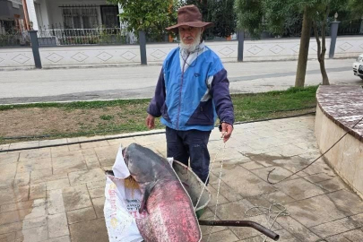 Köprü Üzerinde Nefes Kesen Mücadele: Mersinli Balıkçının Oltasına "Piyango" Vurdu