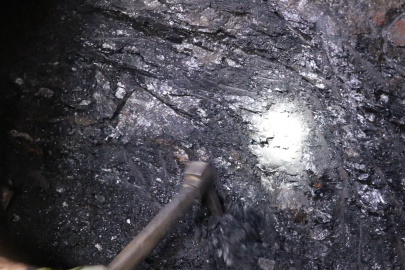 Milyonda Bir Bulunsa Bile Servet Değerinde