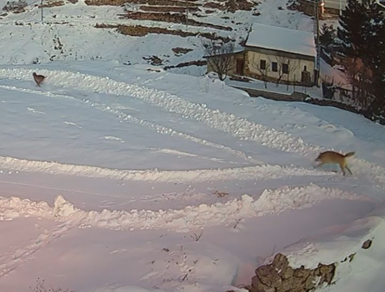 Kılıçköy Sakinleri: 