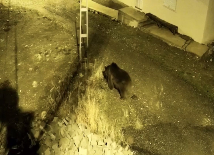 Gurbetçiler Hasret Gidersin Diye Kamera Taktılar, 