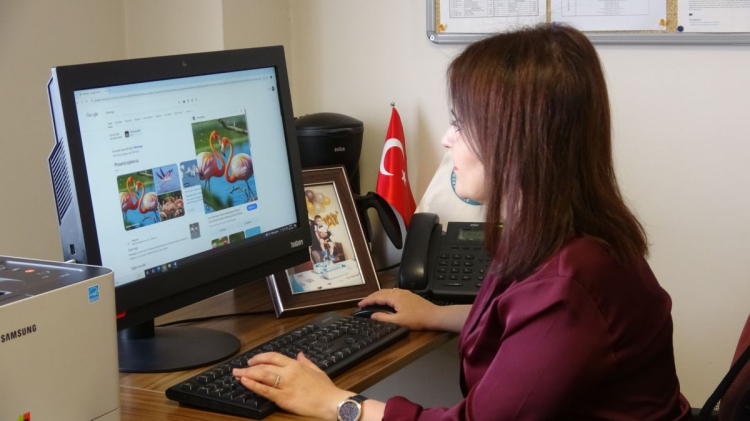 Flamingolar soğuk havaya rağmen göç etmedi