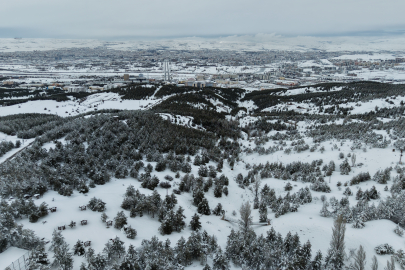 Sivas’ın Akciğerleri Beyaza Büründü: Kardeşler Ormanı’nda Kar Masalı