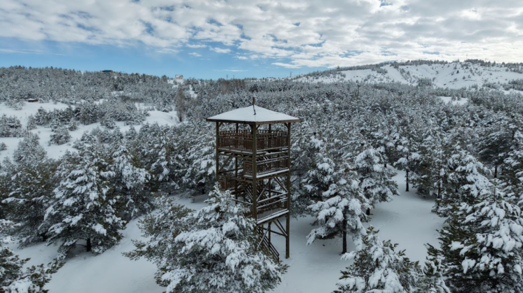 Kardeşler Ormanı'ndan 'karlı' Sivas manzarası
