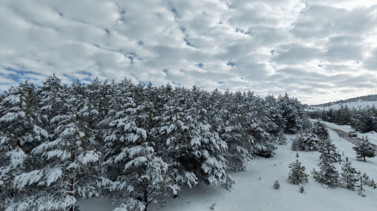 Kardeşler Ormanı'ndan 'karlı' Sivas manzarası
