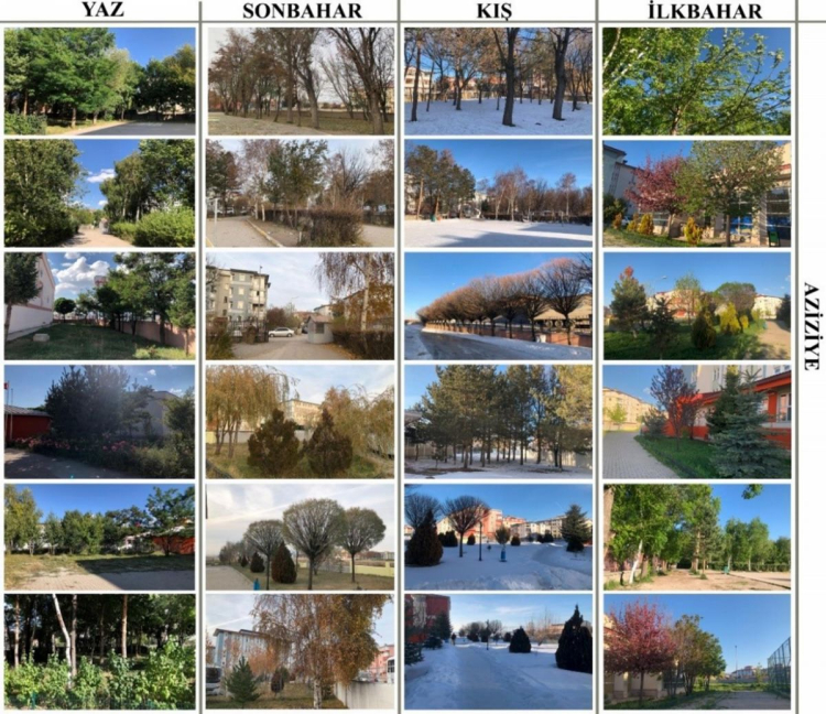 Erzurum Atatürk Üniversitesi Rektör Yardımcısı Prof. Dr. Hasan Yılmaz ile yüksek lisans öğrencisi Didem İlbaş, hazırladıkları ‘biyodost okul’ projesiyle Erzurum’da okulları inceledi. 