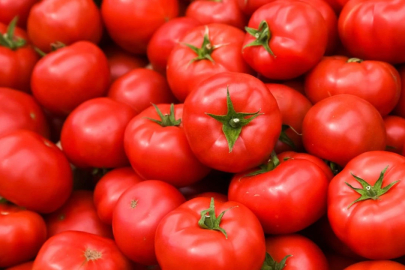 Türk Domatesi 51 Ülkenin Sofrasında: İhracatın Lideri Romanya Oldu