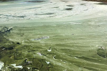 Türkiye’nin İkinci Büyük Tatlı Su Gölü İçin Kritik Uyarı