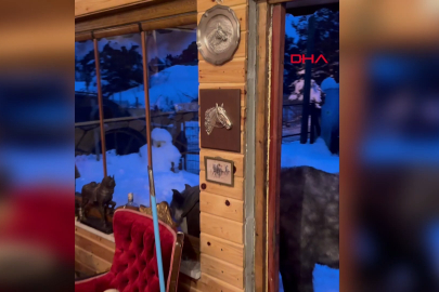 At Yaylası'nın Asıl Sahipleri Kapıya Dayandı: Gökhan Bilen'in Sürpriz Misafirleri