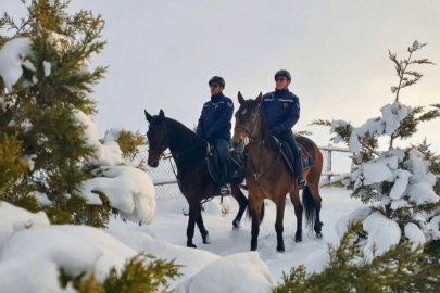 Van’ın Doğal Mirası Atlı Jandarmaya Emanet: Dönemeç Deltası'nda "Kaçak Avcı" Nöbeti!