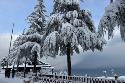 Ordu Valiliği Duyurdu: 8 İlçede Tam, 5 İlçede Kısmi Kar Tatili!