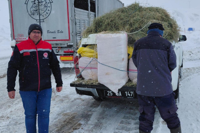 Erzurum’da "Can" Seferberliği! Karda Mahsur Kalan Hayvanlar İçin Zamanla Yarıştılar