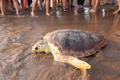 Yaralı 'Atlas' Akdeniz'i Nasıl Fethetti?