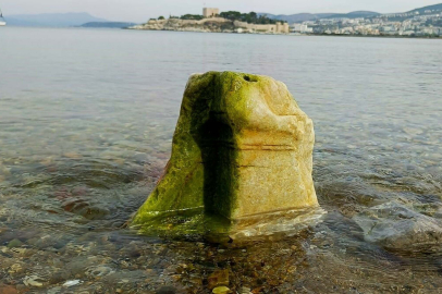 Gönüllüler Sahilde Yürürken Fark Etti: Suyun Altından Bakın Ne Çıktı?